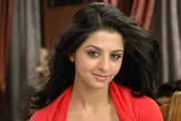 Vedika photos